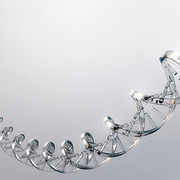 DNA Strand