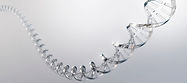 DNA Strand