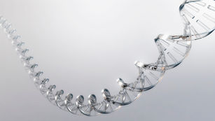 Gene Therapy for Hemoglobinopathies