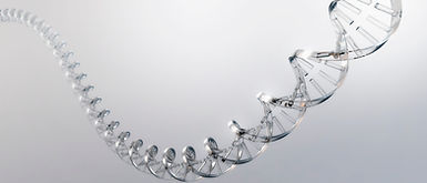 DNA-Strang
