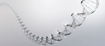 Cadena de ADN