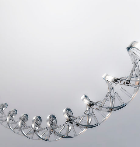 DNA Strand
