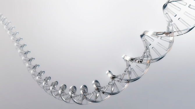 LEBER – Neuropatia Óptica Hereditária de Leber