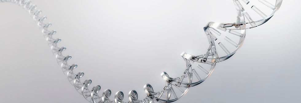 DNA Strand