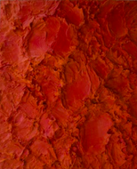 Tactile Memory #42 *
