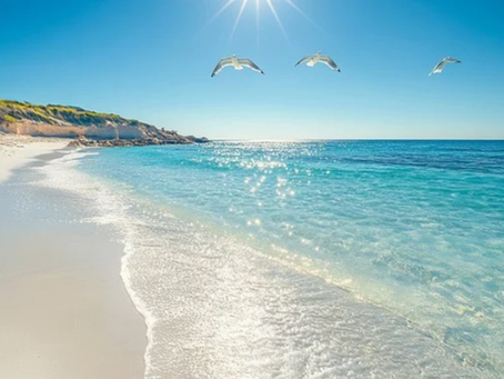 A sunny beachfront with seagulls flying overhead