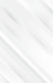 VecteezyWhite-Background-02RD0421-rev-01_generated_edited.jpg