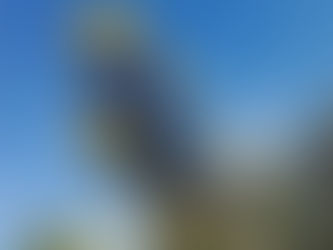 EBA fintech outsourcing requirements, compliance outsourcing in europe for fintechs, DORA compliance Lithuania, fintech nearshoring Europe