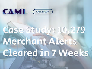 Case Study: 10,279 Merchant Alerts Cleared in 7 Weeks