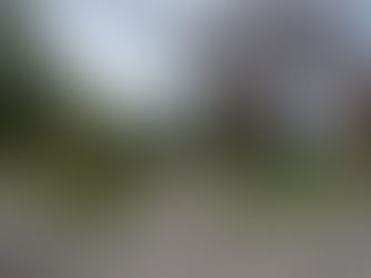 ¿MURIÓ LA CRUZ O MURIÓ UN CABALLO?