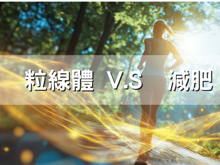 解鎖身體「燃脂發電廠」的秘密,讓你躺著都在瘦!🔥