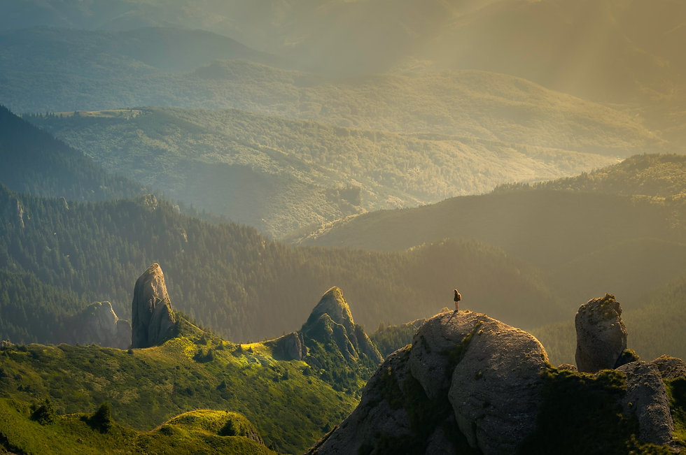 david-marcu-78A265wPiO4-unsplash.jpeg