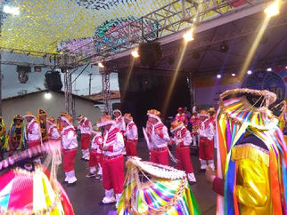 Boi da APAE de São Luis nas festas juninas
