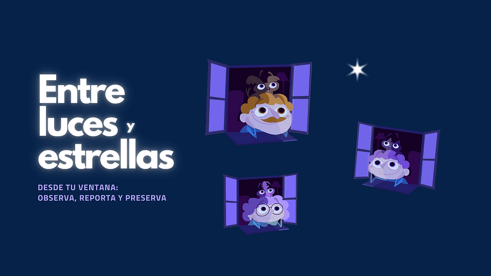 Entre luces estrellas (3).png