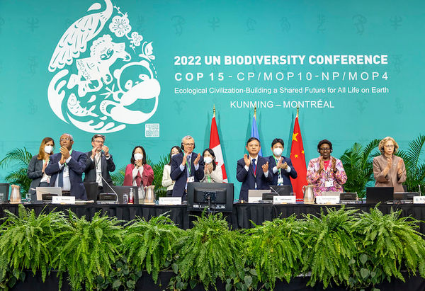  El Marco mundial de diversidad biológica fue aprobado en la COP 15. Foto del CDB.jpeg
