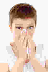 Hay Fever and sneezing