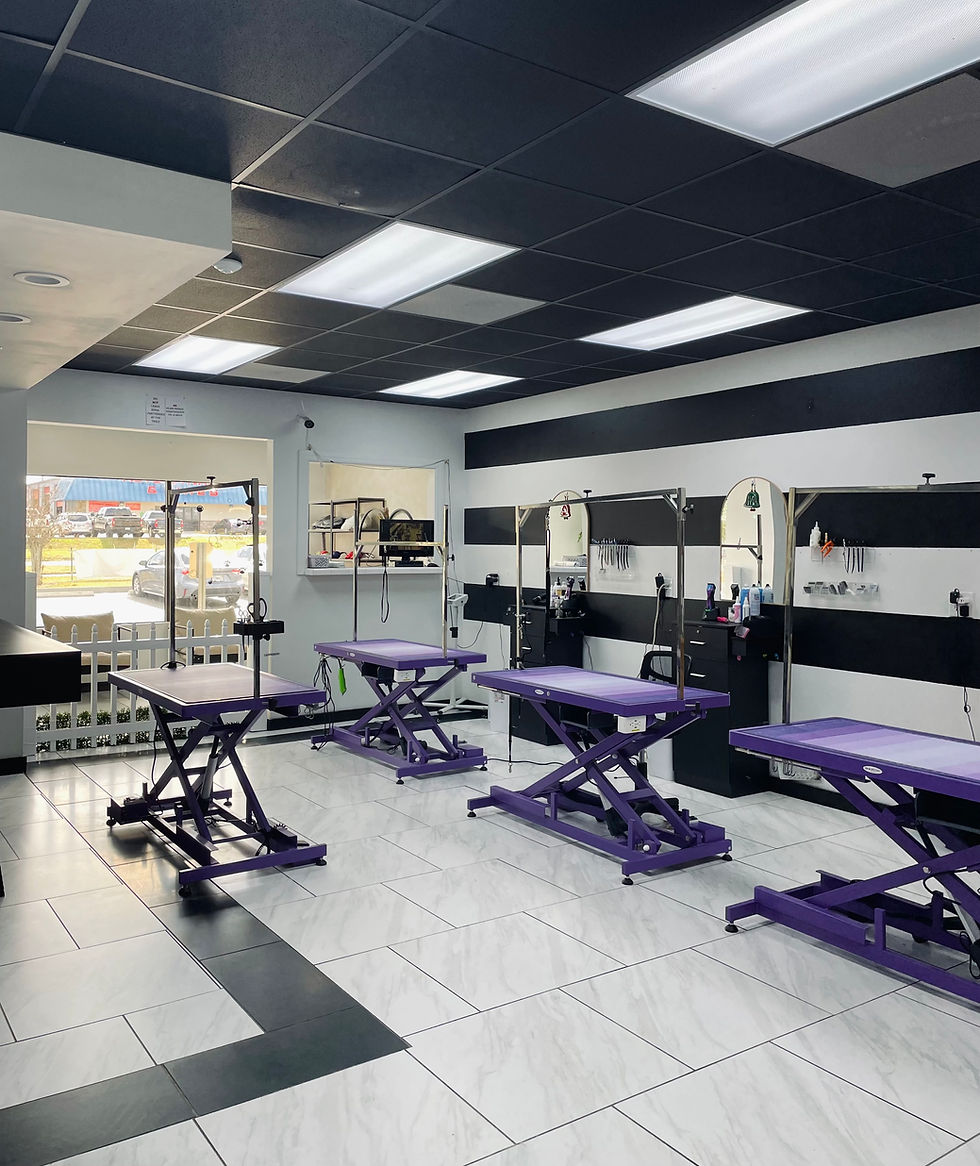 Dog groomer tables in Winter Haven FL