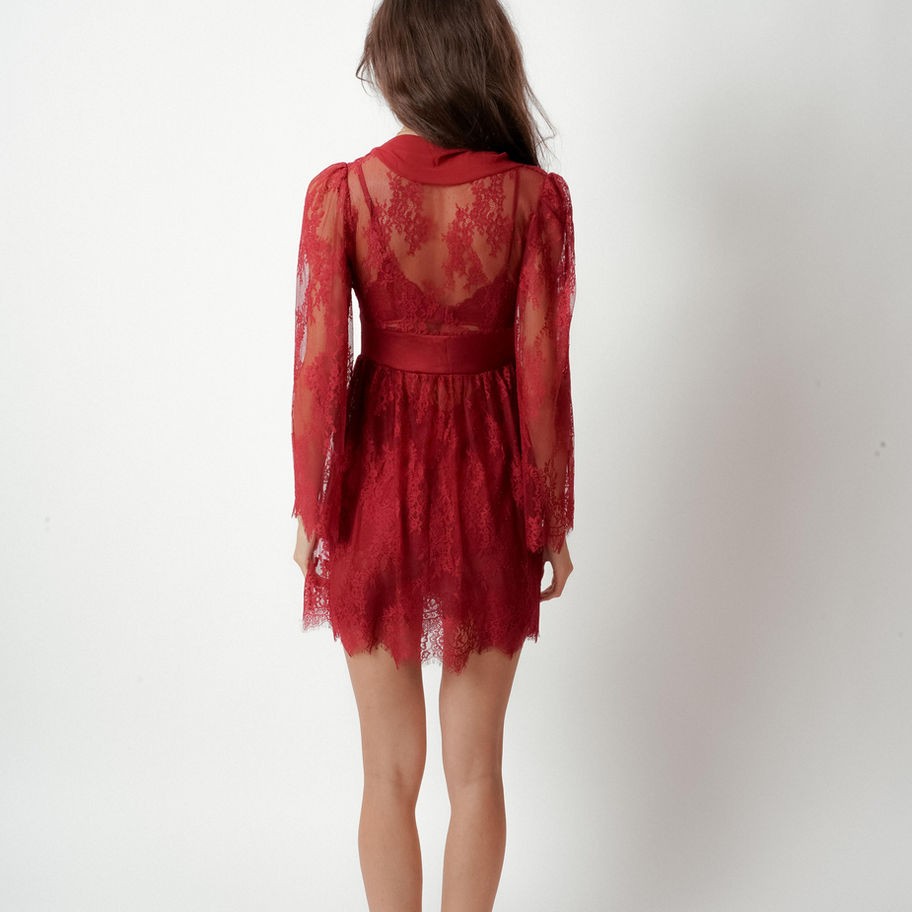 Back view of Red Sheer Lace Robe showing sheer floral lace detailing.