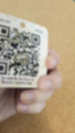 Thumbnail: Osprey Wood Pin