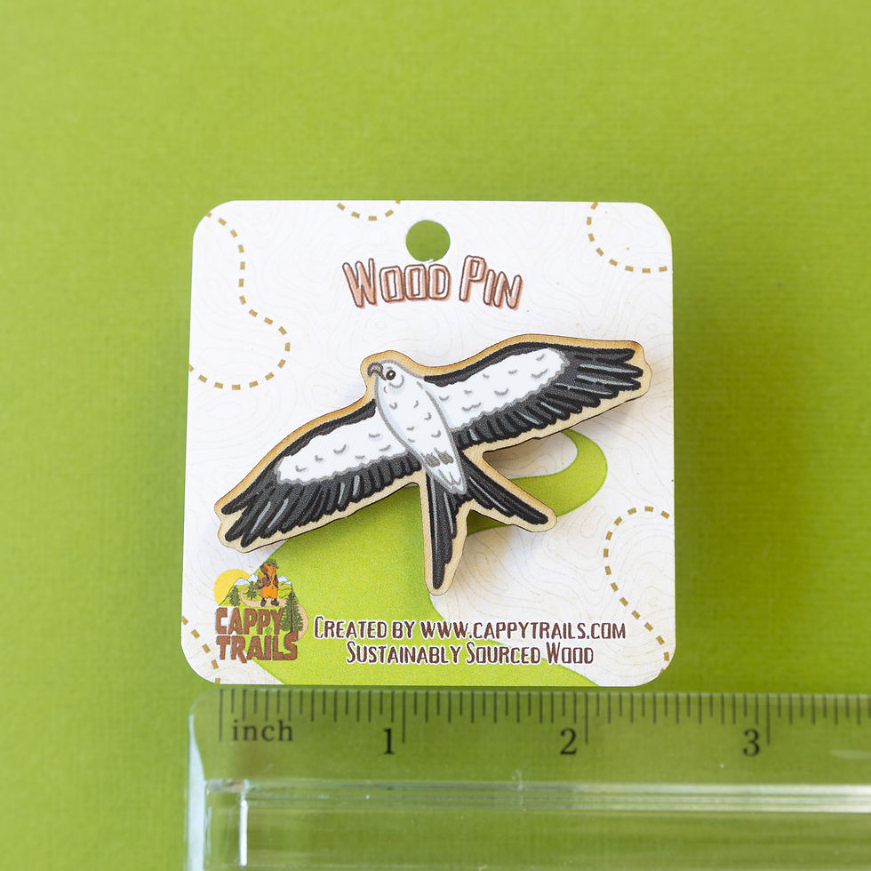 Thumbnail: Swallow Tailed Kite Pin