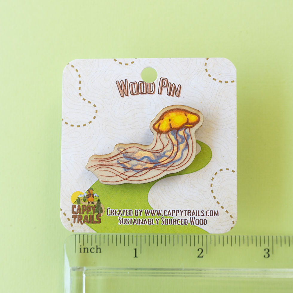 Thumbnail: Pacific Sea Nettle Pin