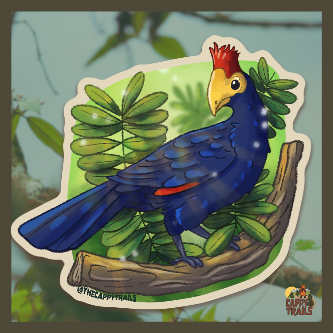 Ross's Turaco Sticker