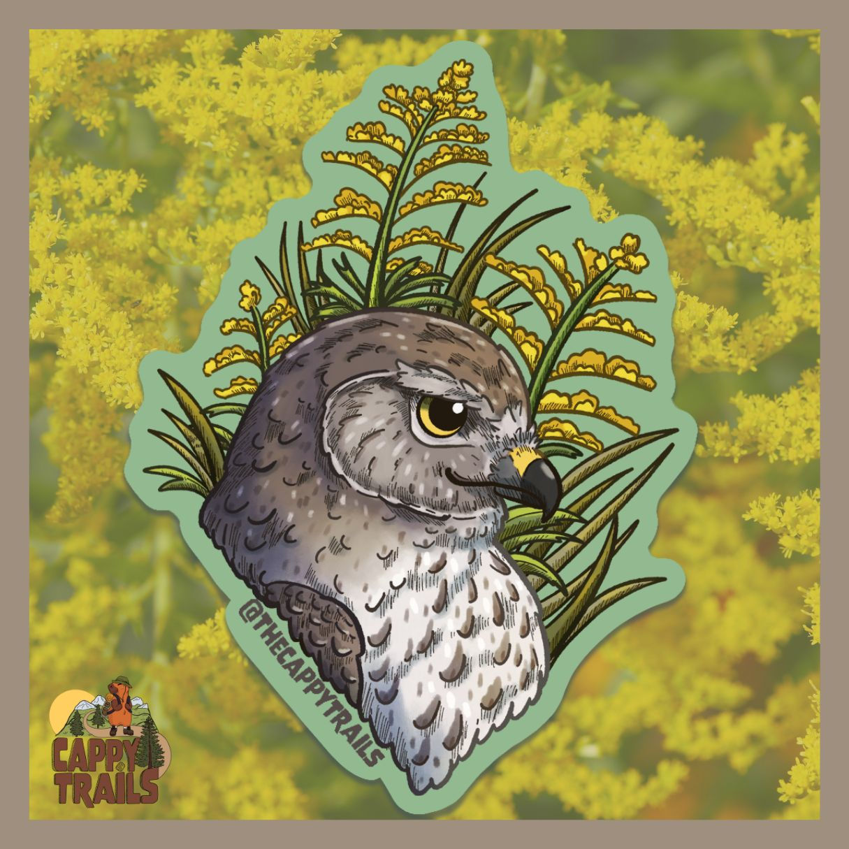 Northern Harrier Sticker