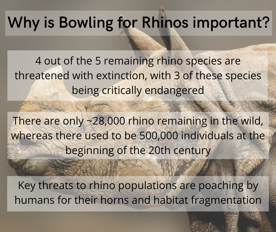 Thumbnail: Bowling for Rhinos Tee
