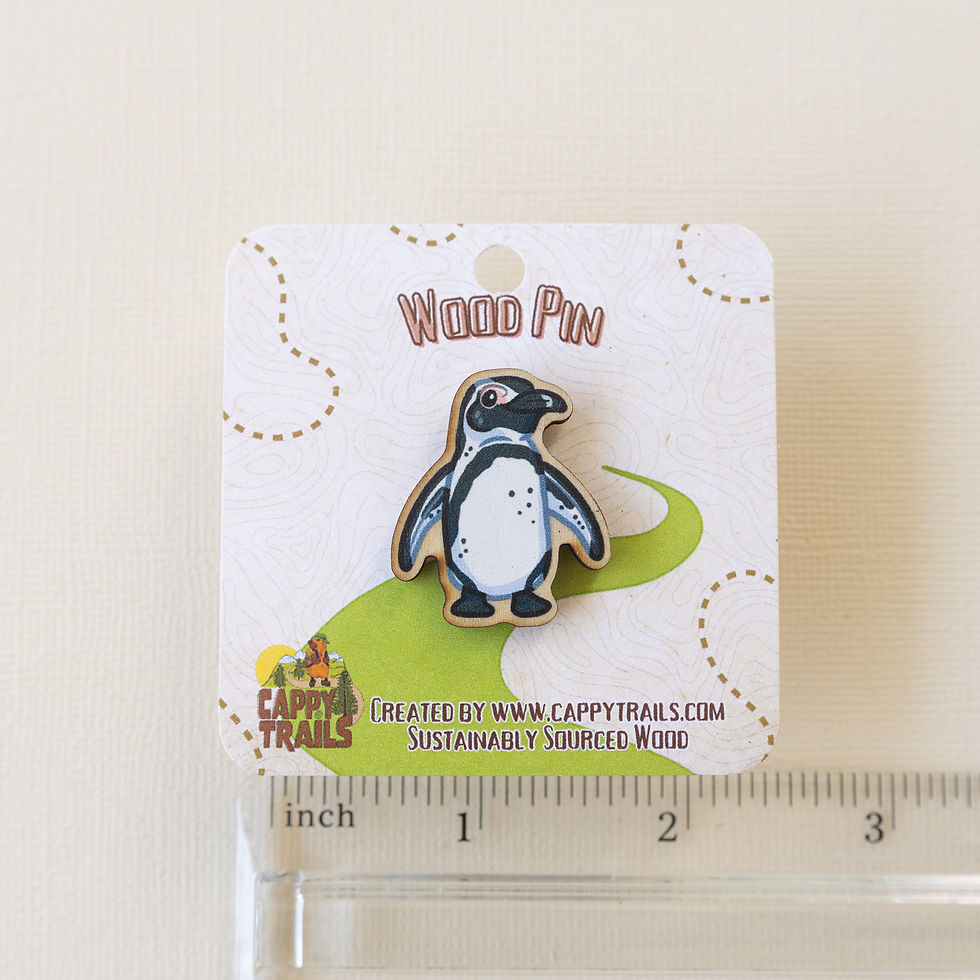 Thumbnail: African Penguin Pin