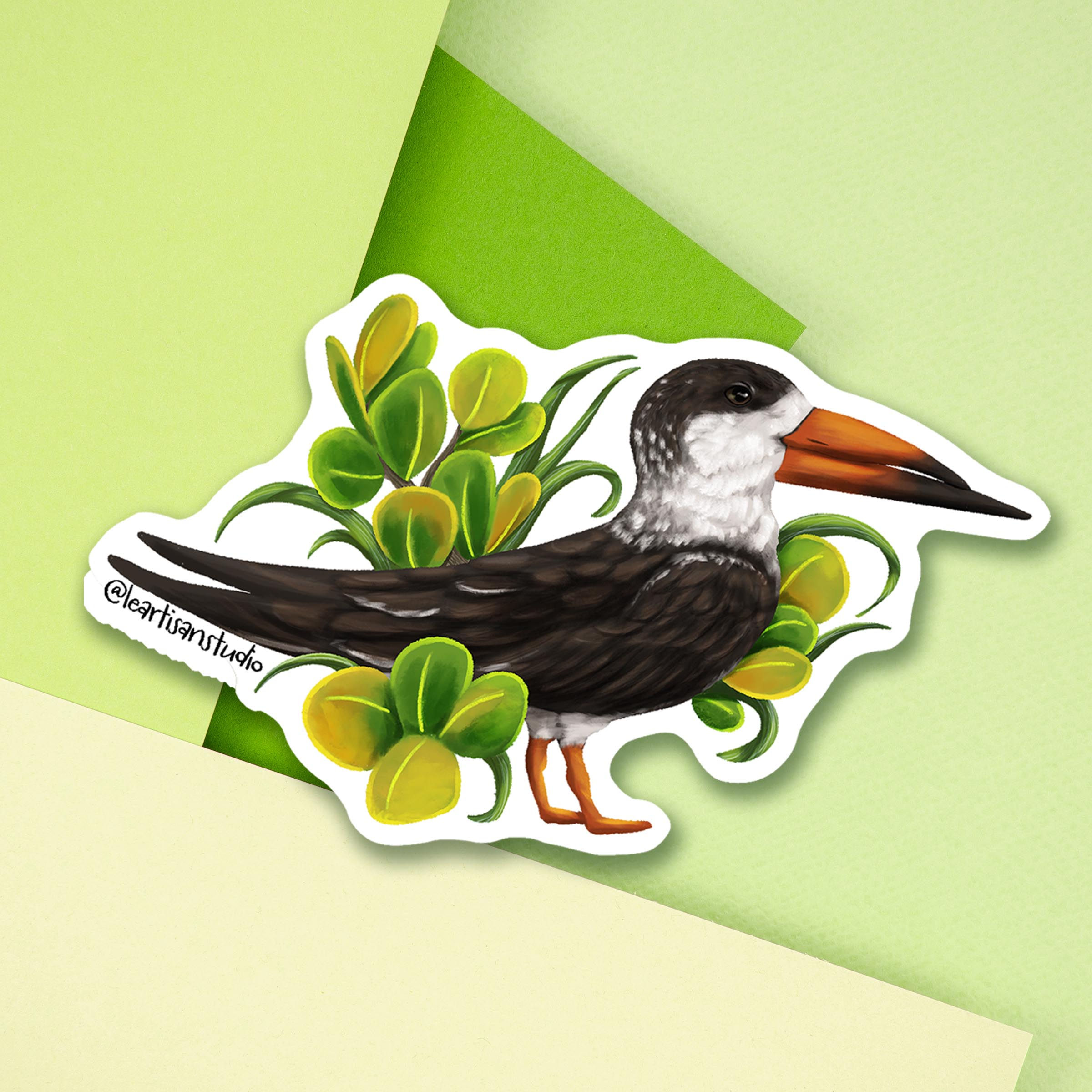 Black Skimmer Sticker