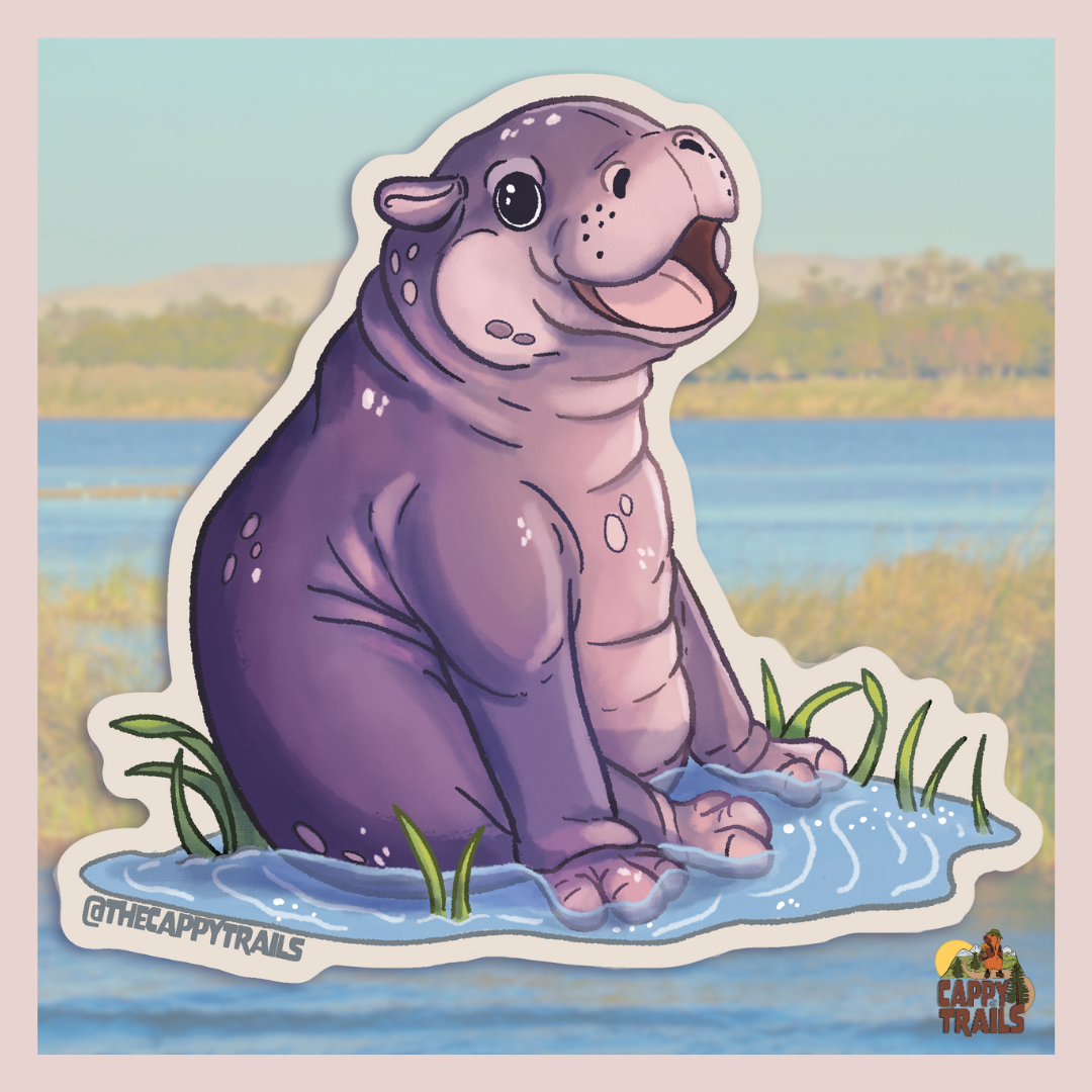 Pygmy Hippo Baby Sticker