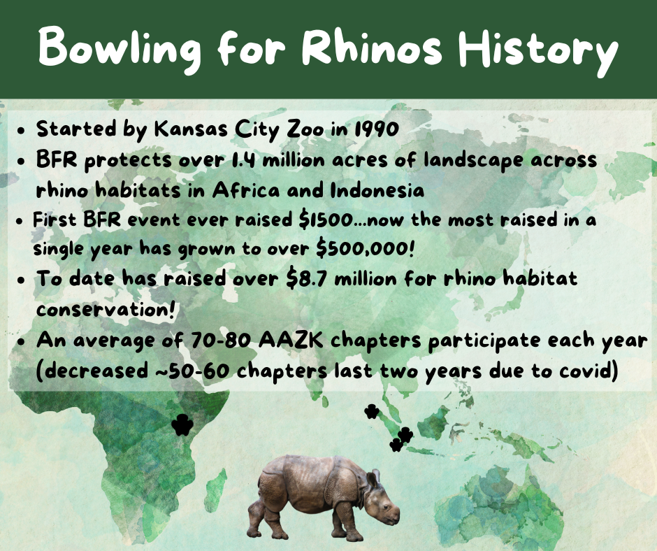 Thumbnail: Bowling for Rhinos Tee