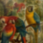 Antique print of birds