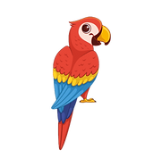 Red, yellow and blue arara looking back
