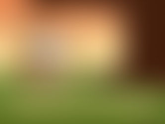 How did that happen??!