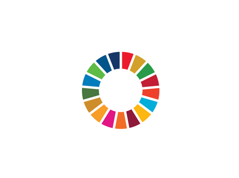 UN SDGs 2030 