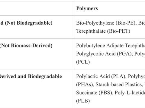 Biomass and Biodegradable Polymers: Exploring the Opportunities and Challenges