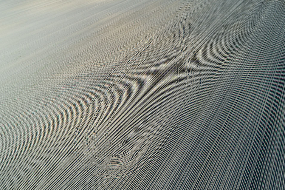 Multi colored sandy loam soil planted with corn photograph by Eric Zeigler