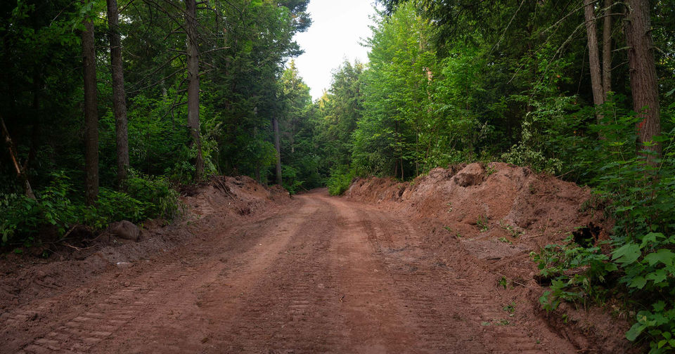 Logging Road near Big Bay, Michigan red soil green trees photograph by Eric Zeigler
