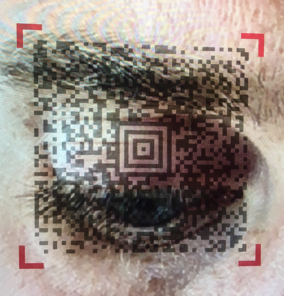 qr code over an eyeball by Eric Zeigler