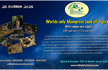 Sundarban - 2025.png