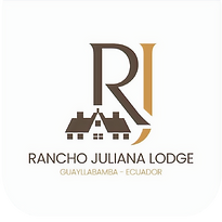 logo curva esquinas_edited.png