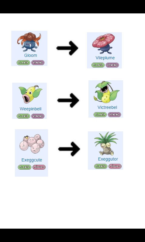 planta.jpg