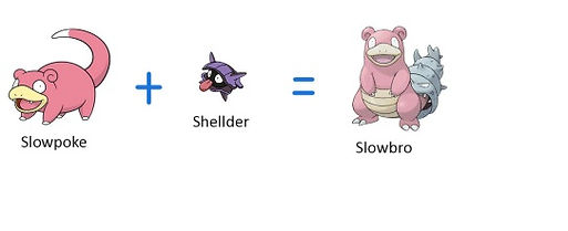 slowpk.jpg