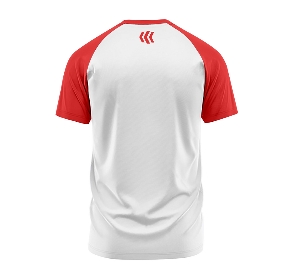 Thumbnail: Men's Premium Dri-Fit T-Shirt - Gym, Slim Fit