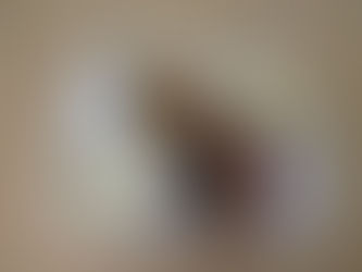 10/9　今日の献立