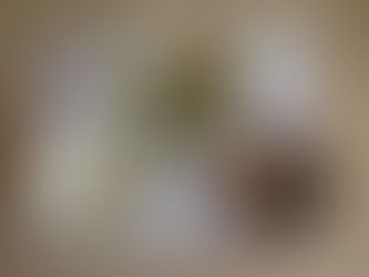 12/23 今日の献立