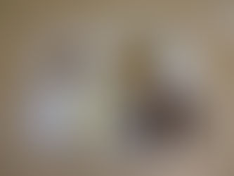 11/27 今日の献立