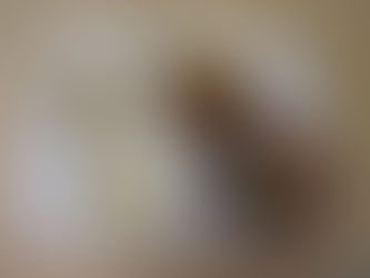 11/14 今日の献立