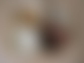 11/5 今日の献立